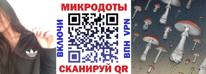 Галлюциногенные грибы ЛСД  Ельня 